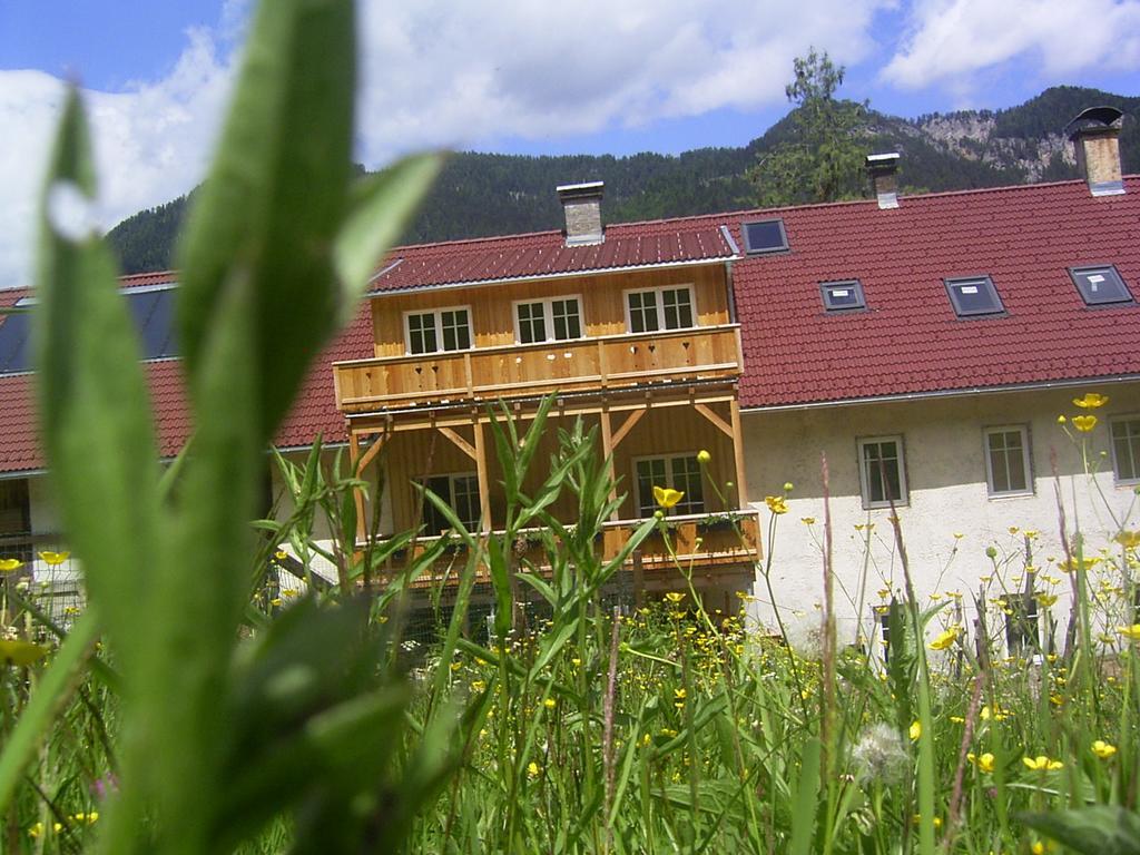 Landhof Schober Appartementen ويسبرياش المظهر الخارجي الصورة